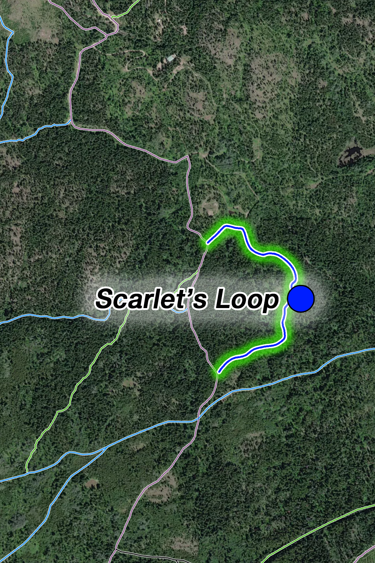 Scarlet's Loop