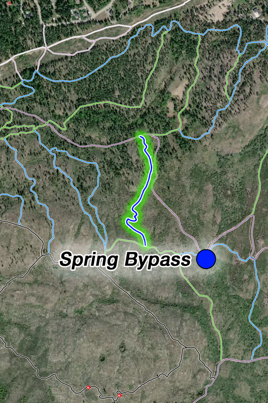Spring ByPass