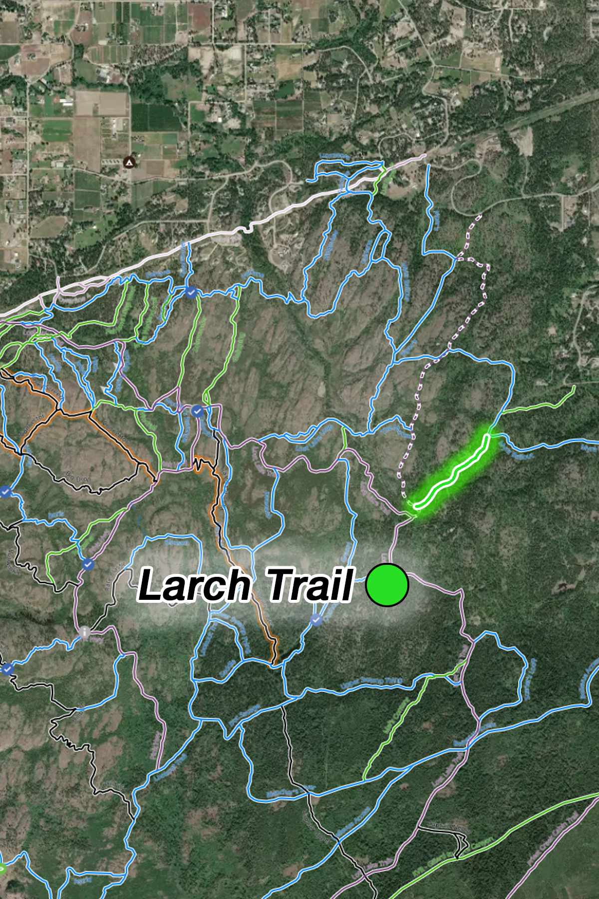 Larch Trail