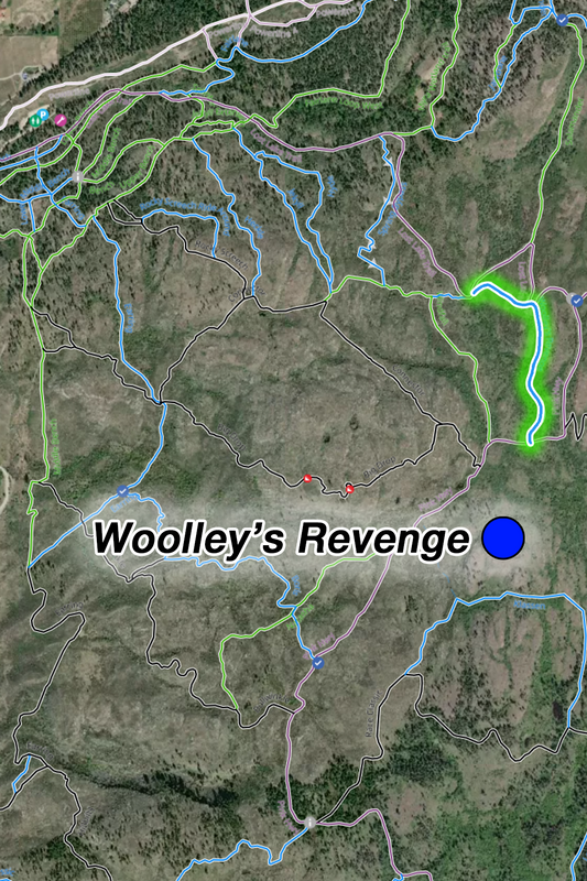 Wooley's Revenge