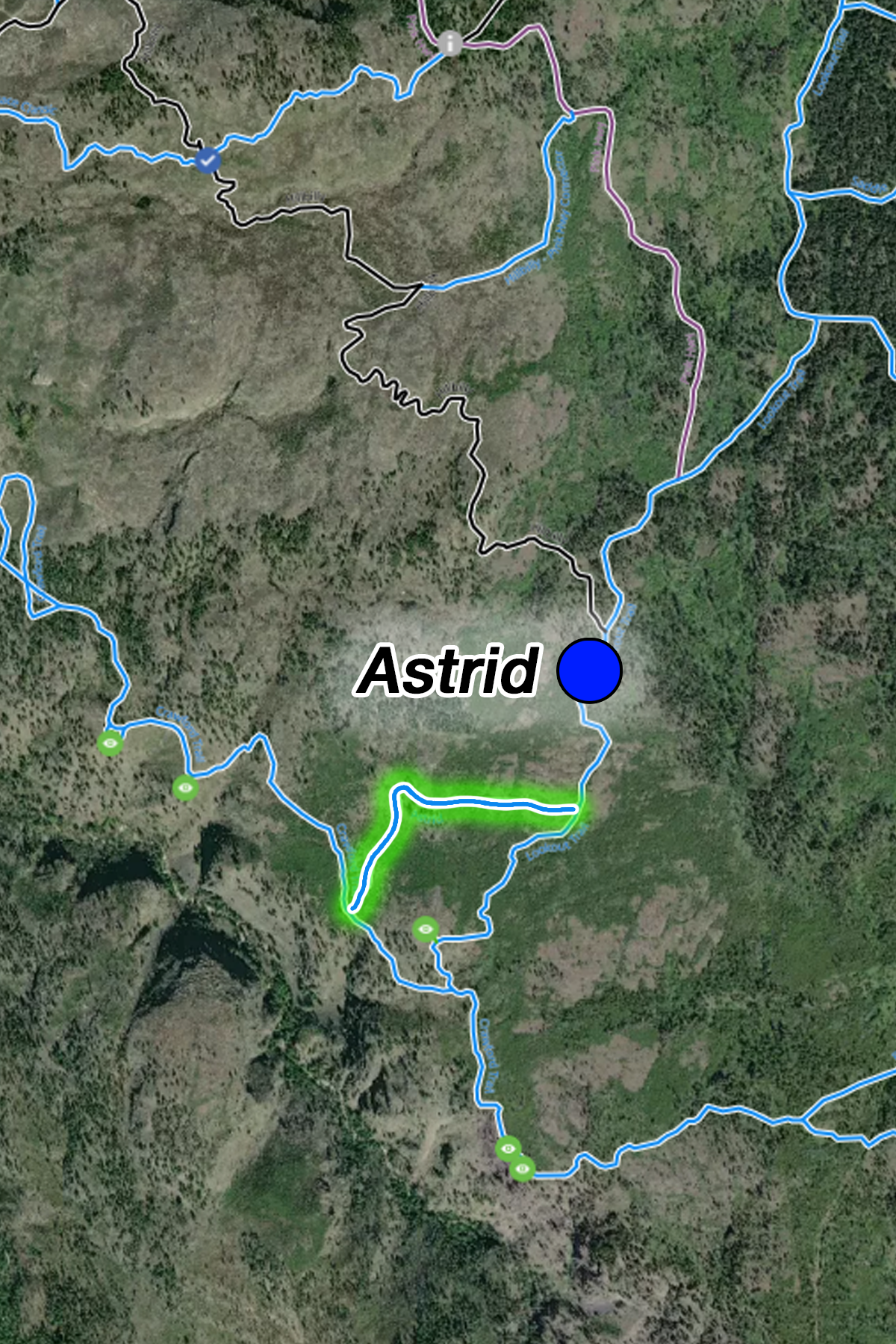Astrid