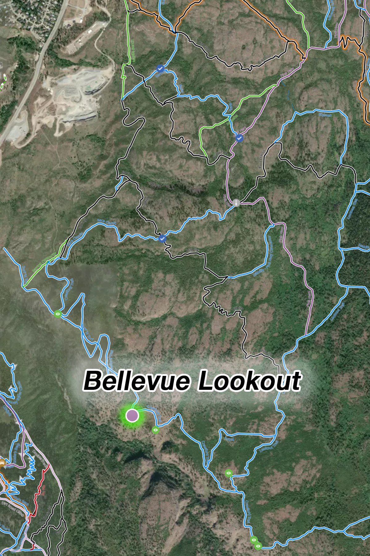 Bellevue Lookout