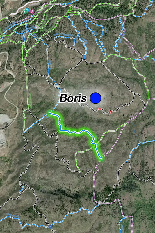 Boris