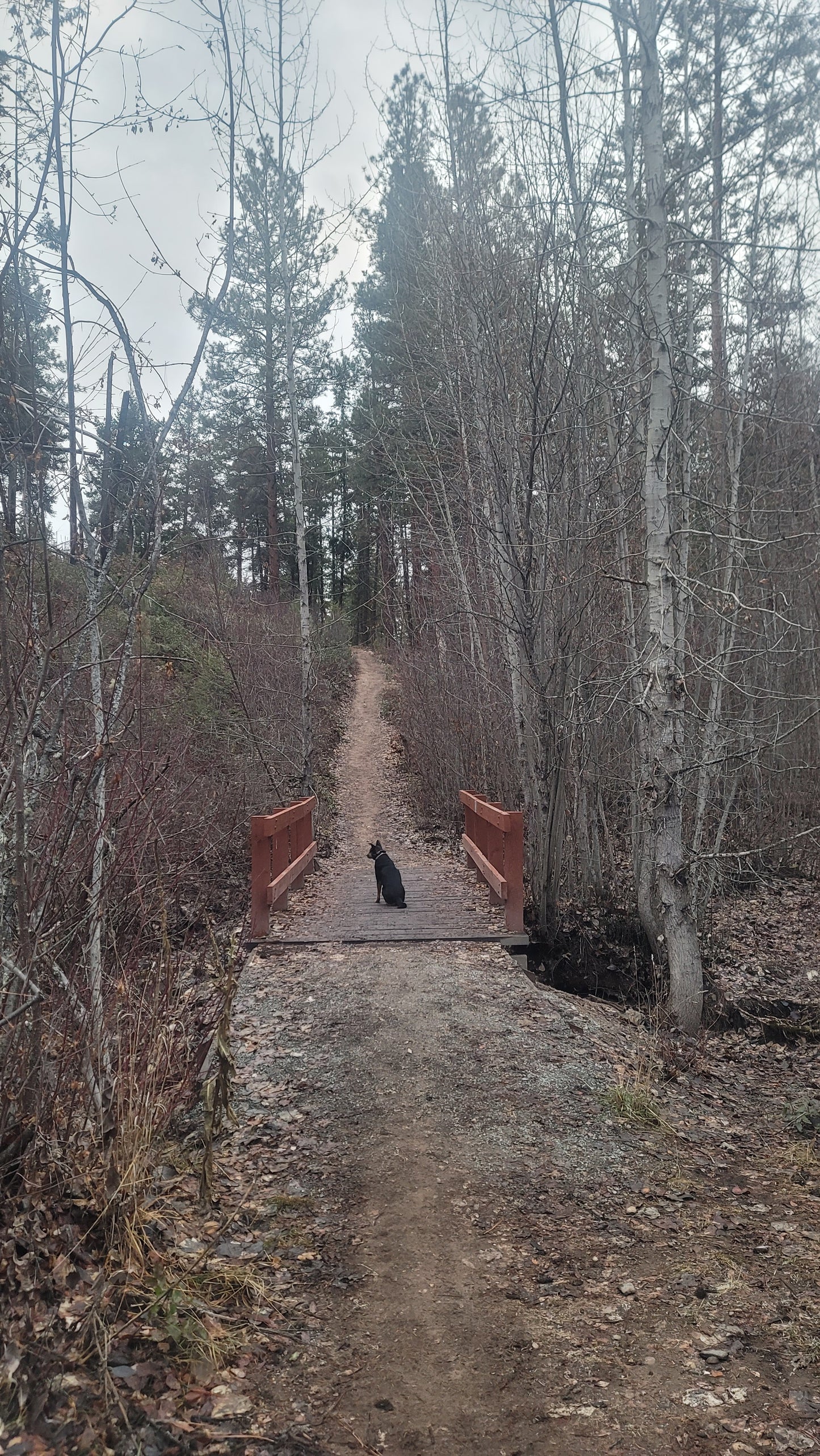 Fairlane Loop