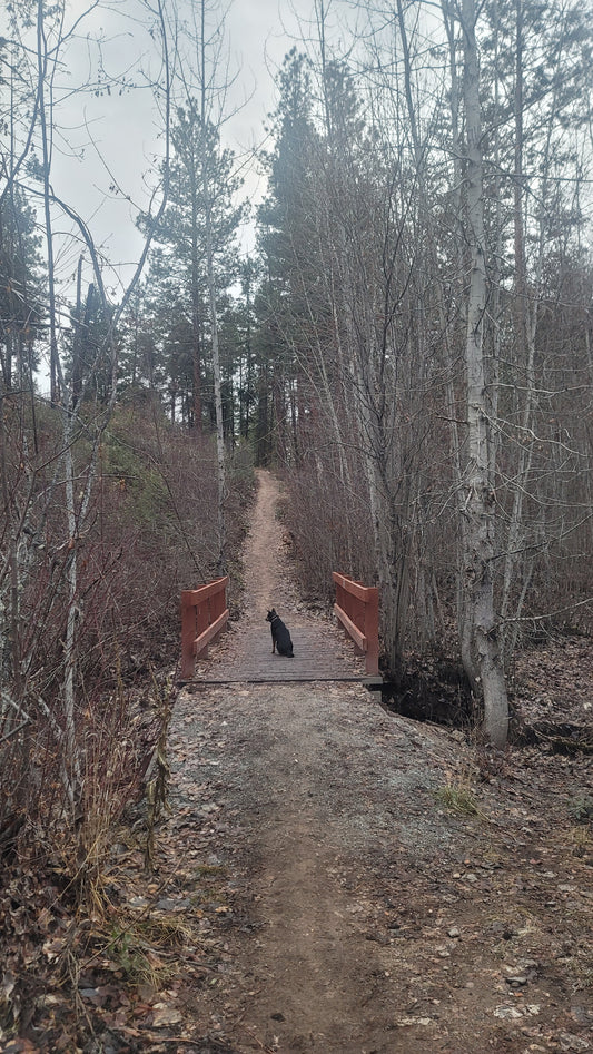 Fairlane Loop