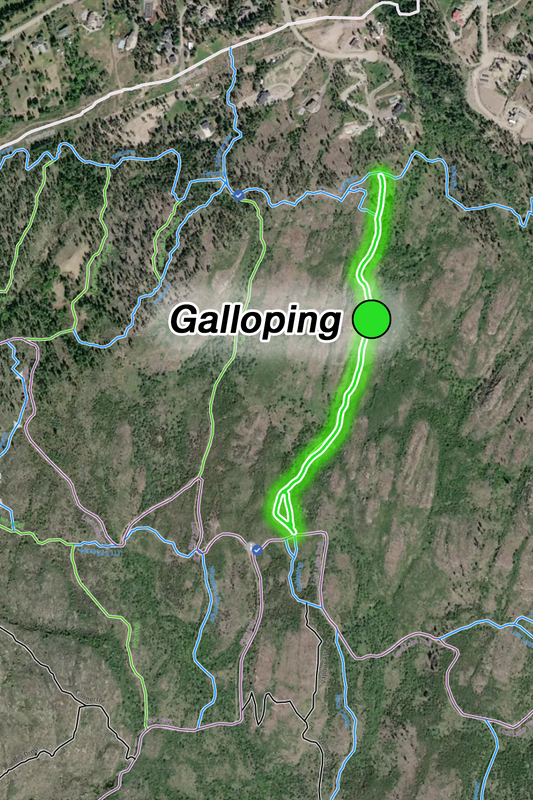 Galloping