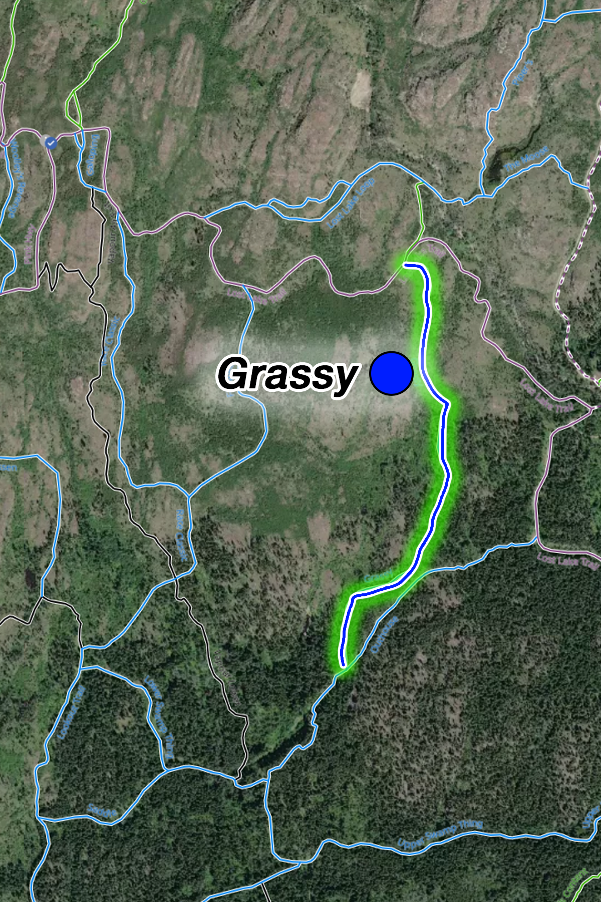 Grassy