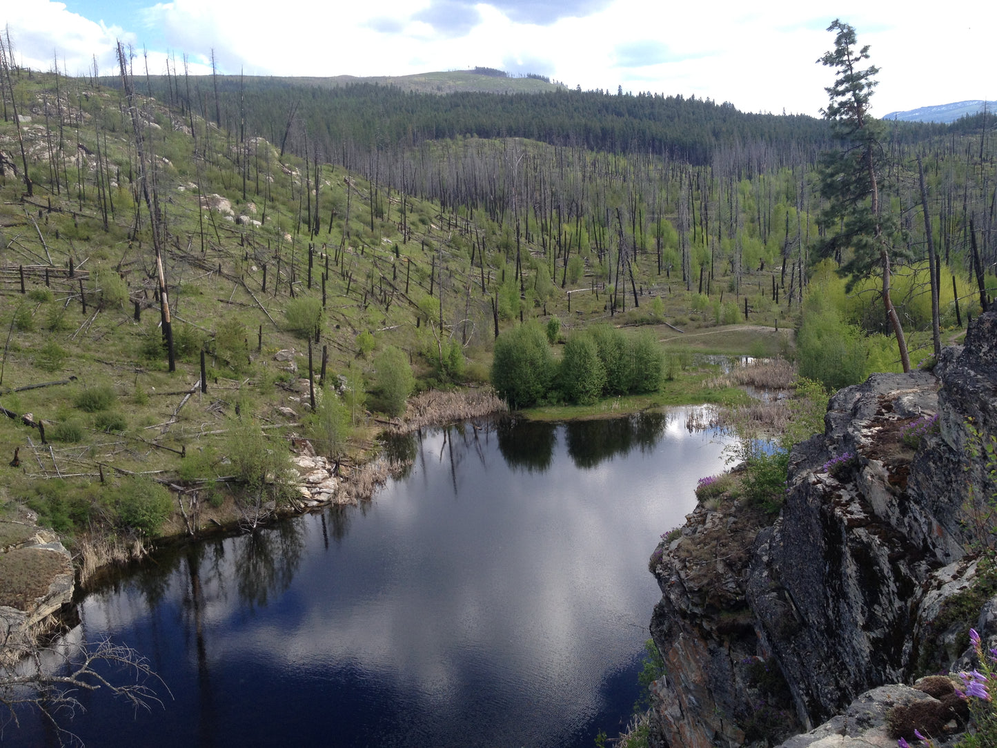 Lost Lake Loop