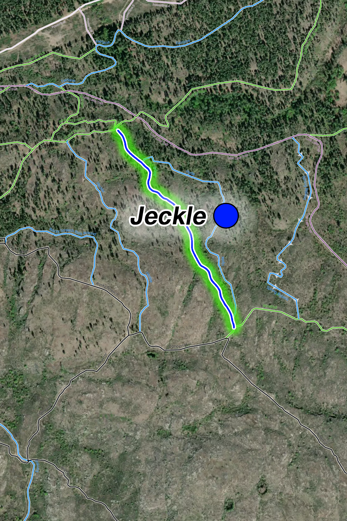 Jeckle