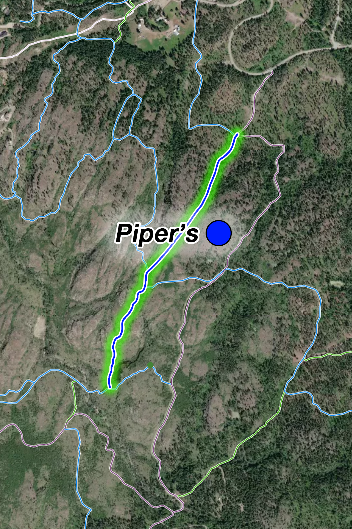 Piper's