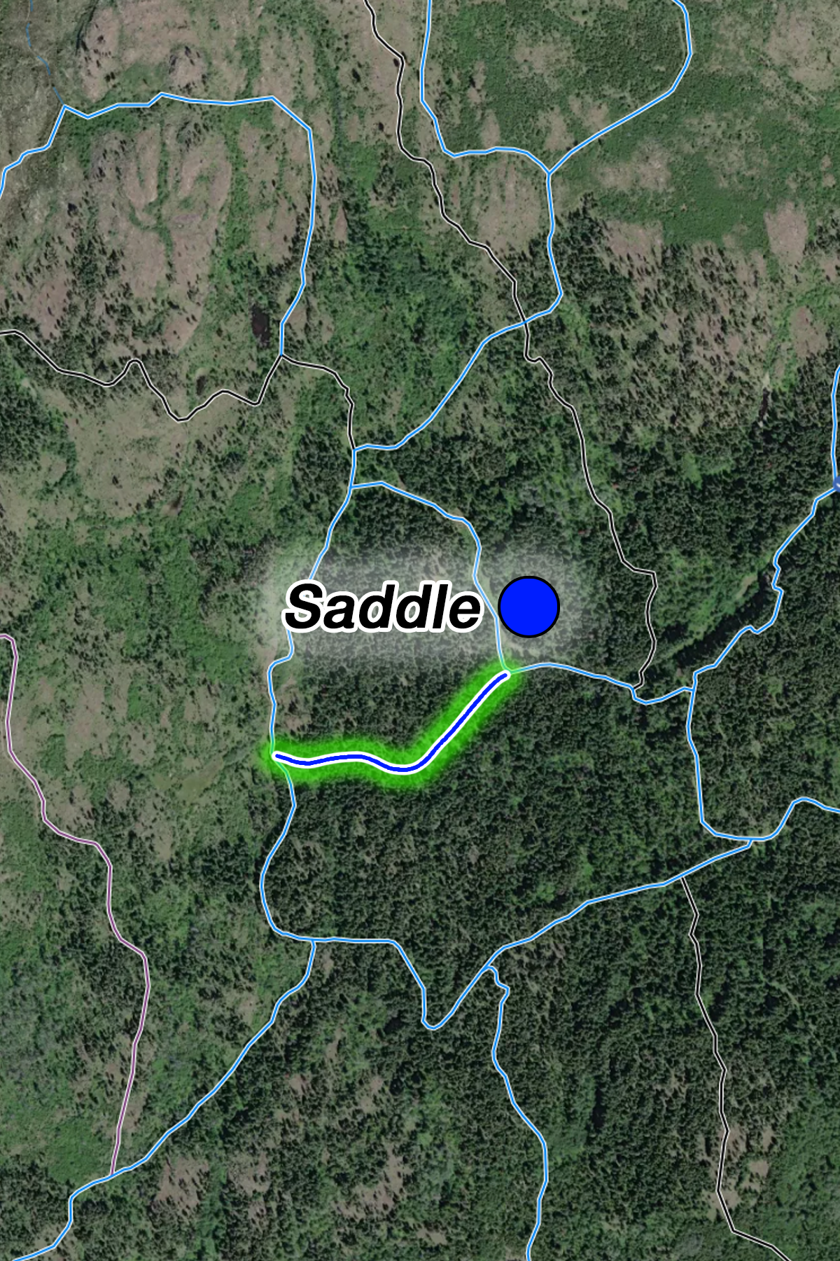Saddle