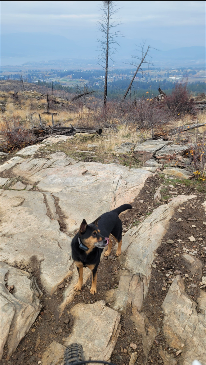 Connector Lookout