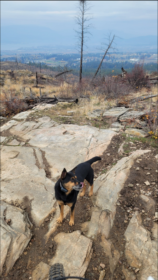 Connector Lookout
