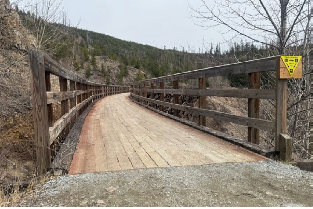 #10 - Trestle 11